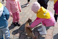 IMG_20250519_104338