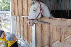 IMG_20250519_104538