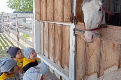 IMG_20250519_104541