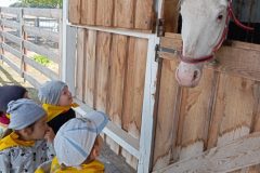 IMG_20250519_104544