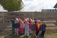 IMG_20250519_104718