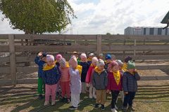 IMG_20250519_104719