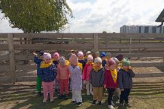 IMG_20250519_104720