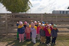 IMG_20250519_104721