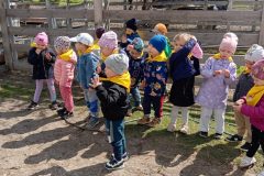 IMG_20250519_104847