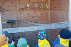 IMG_20250519_102317