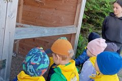 IMG_20250519_102340