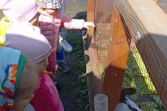 IMG_20250519_102347