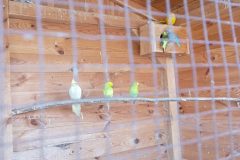 IMG_20250519_102428