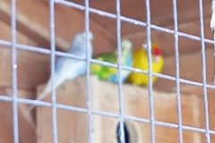 IMG_20250519_102509