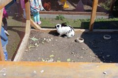 IMG_20250519_102625