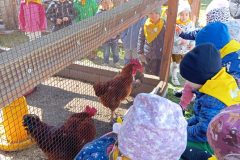 IMG_20250519_102707