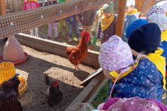 IMG_20250519_102724