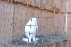 IMG_20250519_102826