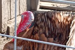 IMG_20250519_103044