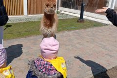 IMG_20250519_103300