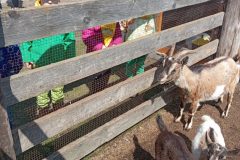 IMG_20250519_103325