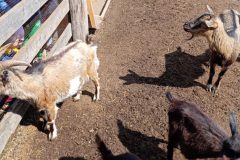 IMG_20250519_103524