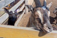 IMG_20250519_103539