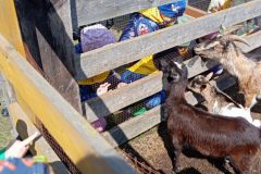 IMG_20250519_103608