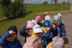 IMG_20250519_095611