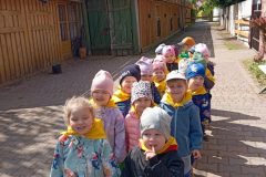 IMG_20250519_100207