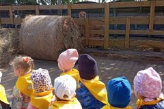 IMG_20250519_100227