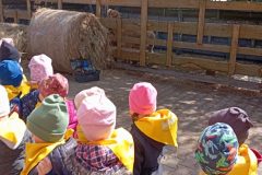 IMG_20250519_100235