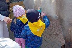 IMG_20250519_100748