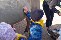 IMG_20250519_100807