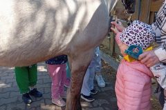 IMG_20250519_100844