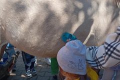 IMG_20250519_100852