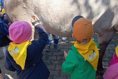 IMG_20250519_101027