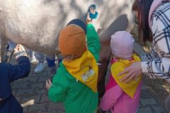 IMG_20250519_101030