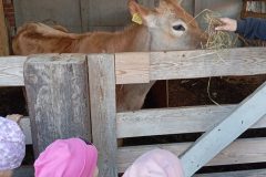 IMG_20250519_101720