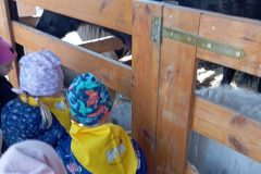 IMG_20250519_102201