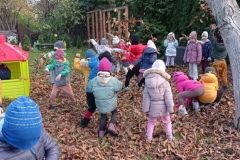 IMG_20231107_124455
