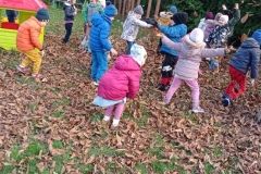 IMG_20231107_124503