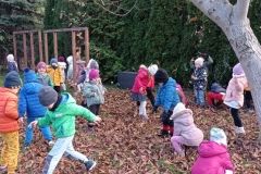 IMG_20231107_124509