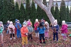 IMG_20231107_124534