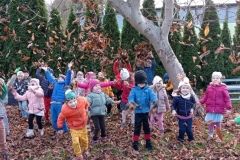 IMG_20231107_124536