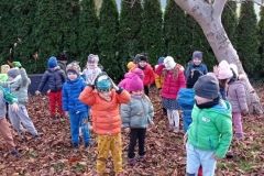 IMG_20231107_124557
