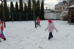 IMG_20240115_101243