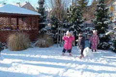 IMG_20240116_102312