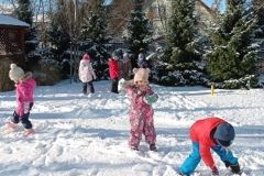 IMG_20240116_102437