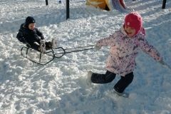 IMG_20240116_103625