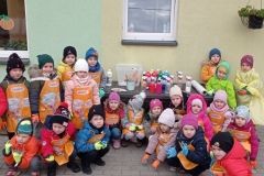 IMG_20231113_114130