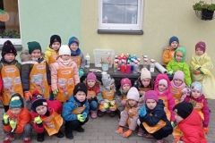 IMG_20231113_114131