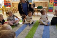 IMG_20231003_104708551
