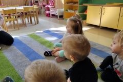 IMG_20231003_104712580